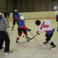 Турнир среди хоккейных команд детских домов прошел в Свердловской области